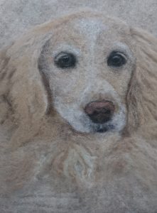 M Dog by Wendy Middleton