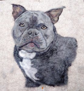 Cooper by Wendy Middleton