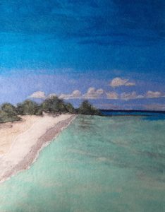 Isla Contoy Mexico by Wendy Middleton