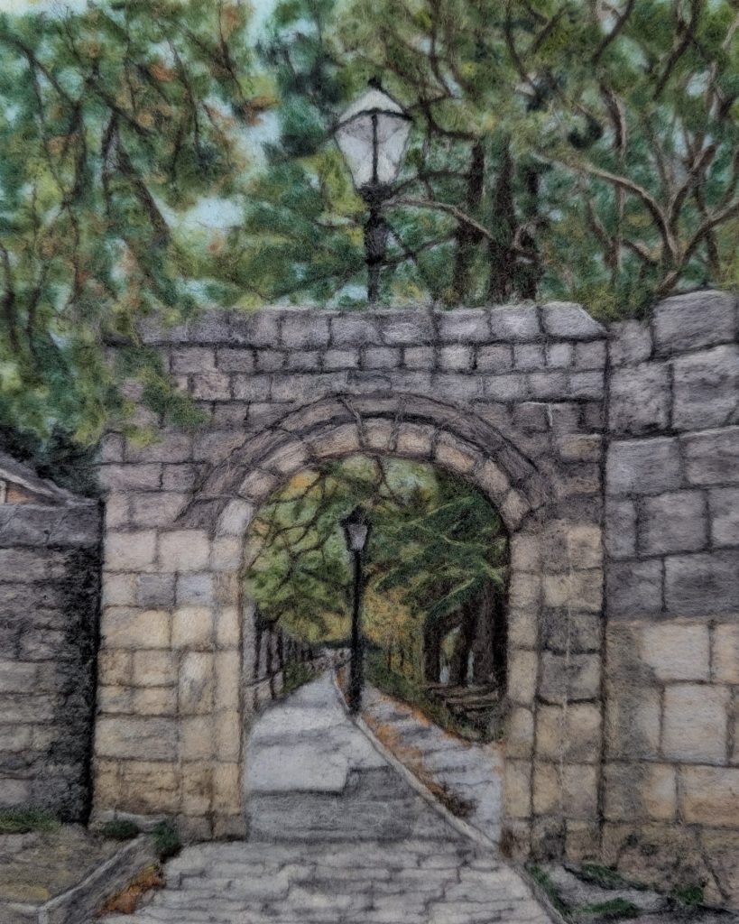 Dame Judy Dench walk autumn walk York